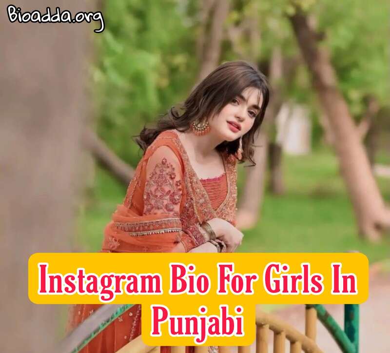 Instagram Bio For Girls In Punjabi 
