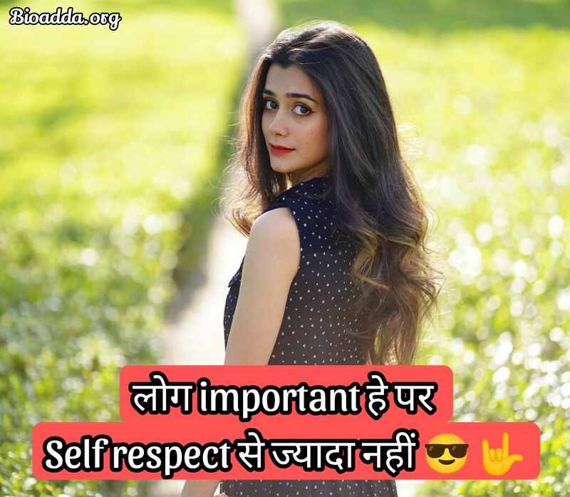 Instagram Bio For Girls In Hindi 