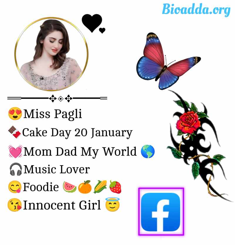 Facebook Bio For Girls 