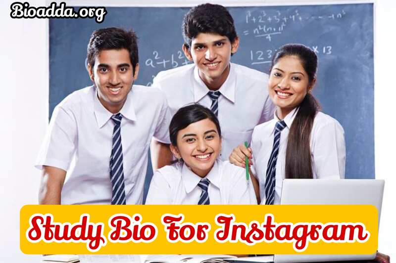 Study Bio For Instagram 